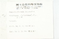 土丁桂藏品圖，第2張