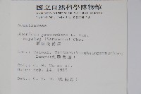 早田氏爵床藏品圖，第2張