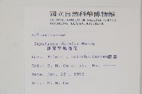 棣慕華鳳仙花藏品圖，第2張