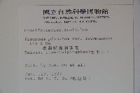 臺灣蝴蝶戲珠花、臺灣蝴蝶花藏品圖，第2張