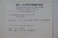 呂宋莢迷藏品圖，第2張