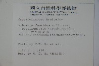 狹葉莢迷藏品圖，第2張