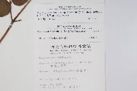 登錄號:S005170藏品圖，第2張