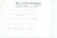 臺灣馬桑藏品圖，第2張