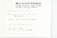 臺灣馬桑藏品圖，第2張