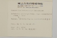 野艾蒿藏品圖，第2張