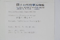 黃連木、爛心木藏品圖，第2張