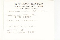 獨行菜藏品圖，第2張