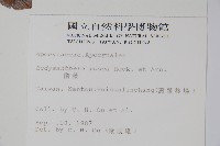 酸藤藏品圖，第2張