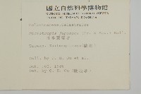 日本賽衛矛、日本假衛矛藏品圖，第2張