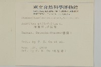 洋蓍草、千葉蓍藏品圖，第2張