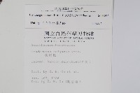 尖尾鳳藏品圖，第2張