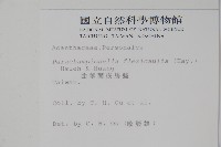 曲莖馬藍藏品圖，第2張