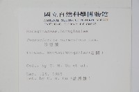 冷飯藤藏品圖，第2張