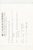 杜英、山杜英、蘭嶼杜英藏品圖，第2張