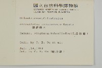 佩羅特木藏品圖，第2張