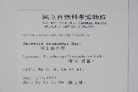 臺灣小蘗藏品圖，第2張