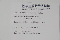 眠月小蘗藏品圖，第2張