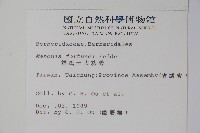 細葉十大功勞藏品圖，第2張