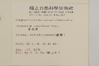 黃金珠藏品圖，第2張