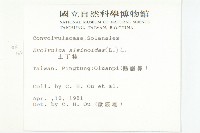 土丁桂藏品圖，第2張