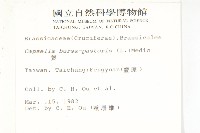 薺藏品圖，第2張