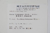 臺灣赤楊、臺灣榿木藏品圖，第2張