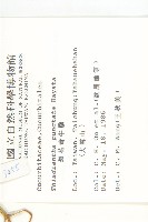 斑花青牛膽藏品圖，第2張