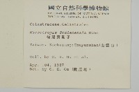 福建賽衛矛、福建假衛矛藏品圖，第2張