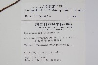 厚殼樹藏品圖，第2張