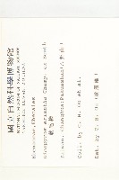 軟毛柿藏品圖，第2張