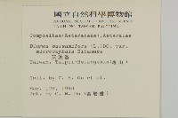 艾納香藏品圖，第2張