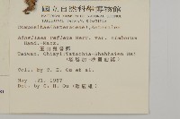 臺灣鬼督郵藏品圖，第2張