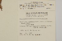 臺灣鬼督郵藏品圖，第2張