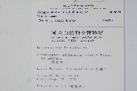 琉璃草藏品圖，第2張