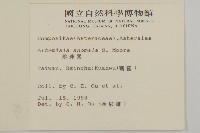 珍珠蒿、奇蒿藏品圖，第2張