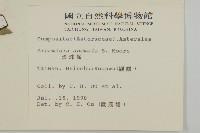 珍珠蒿、奇蒿藏品圖，第2張