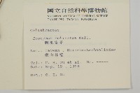 刺果衛矛藏品圖，第2張