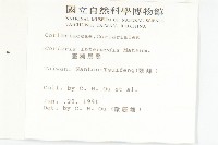 臺灣馬桑藏品圖，第2張