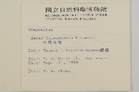 臺灣馬蘭藏品圖，第2張