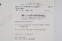 臺灣馬藍藏品圖，第2張