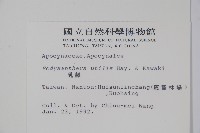 乳藤藏品圖，第2張