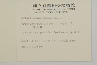 雷公藤藏品圖，第2張