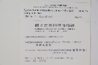 台灣土黨參藏品圖，第2張