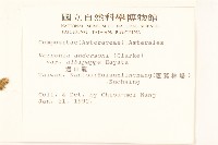 過山龍藏品圖，第2張