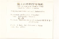 過山龍藏品圖，第2張