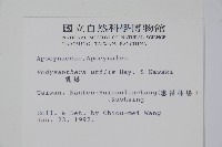 乳藤藏品圖，第2張