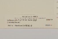 繁縷藏品圖，第3張