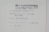 假川牛膝藏品圖，第2張