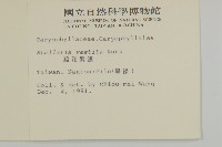 疏花繁縷藏品圖，第2張